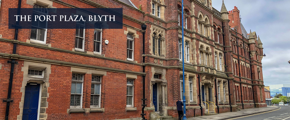 the port plaza mark black adavo